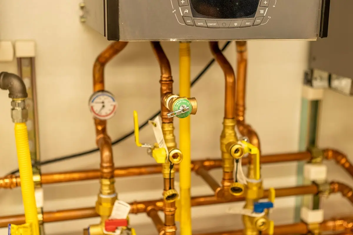 Licensed technician providing Sewer Cleanout for a homeowner in Potterville